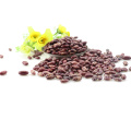 Hot Selling Offgrade Purple Speckled Kidney Beans With Best Price